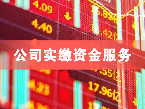 昌邑公司实缴资金服务