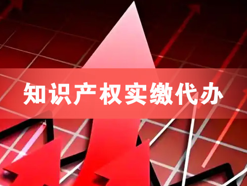 昌邑知识产权实缴资本代办